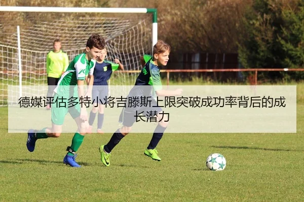 de-mei-ping-gu-duo-te-xiao-jiang-ji-teng-si-shang-xian-tu-po-cheng-gong-lv-bei-hou-de-cheng-zhang-qian-li-2-277.jpg